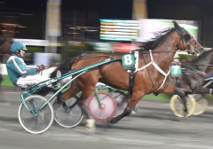 Ugly Duckling 171018-3